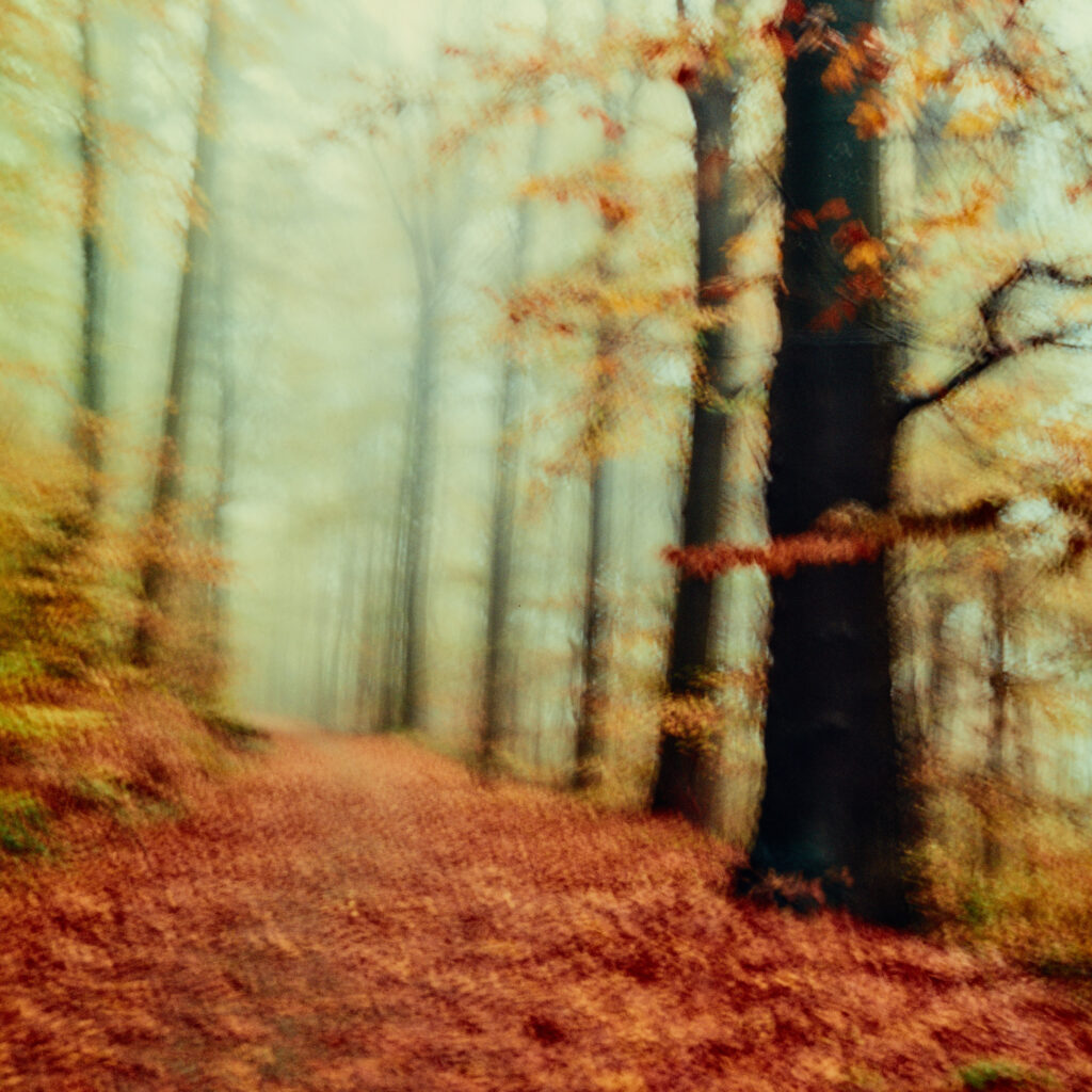 Rolleiflex 3.5F - Harman Phoenix 200 version 1