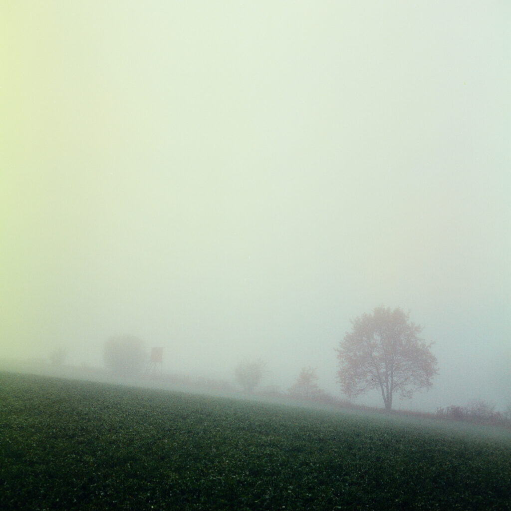 Rolleiflex 3.5F - Harman Phoenix 200 version 1