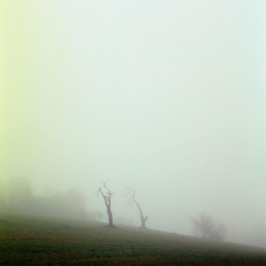 Rolleiflex 3.5F - Harman Phoenix 200 version 1