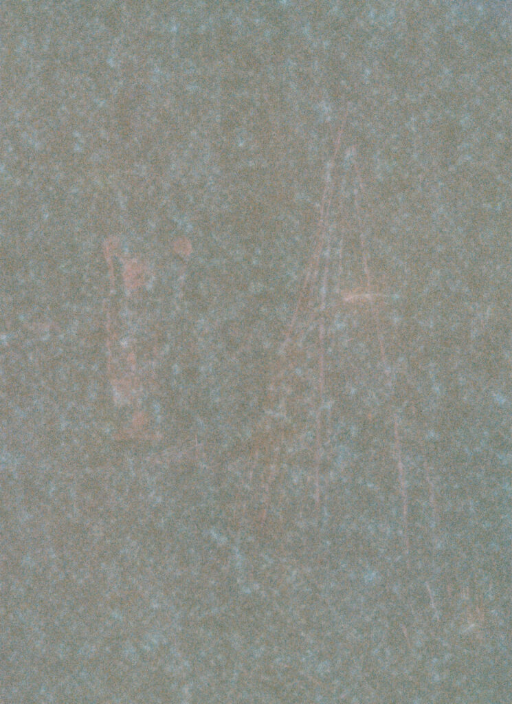 Failed photograph of Killerton NT garden