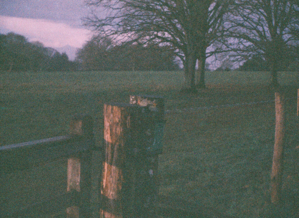 View of field over fence and gate at Killerton National Trust estate