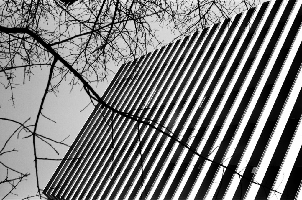 High building photographed upwards throu tree branches