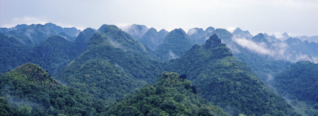 Forested mountains, Cat Ba Island, Vietnam