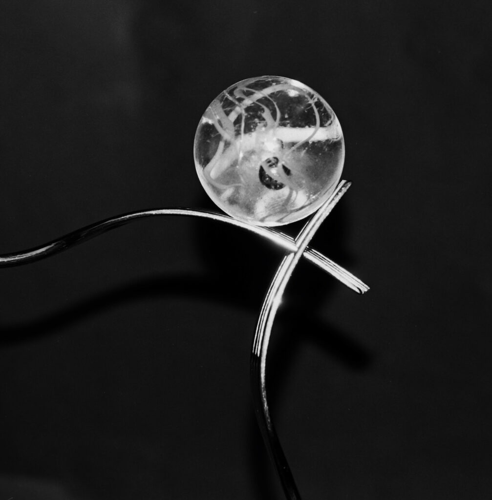 Taken at 140mm zoom on the macro setting with flash and cropped.