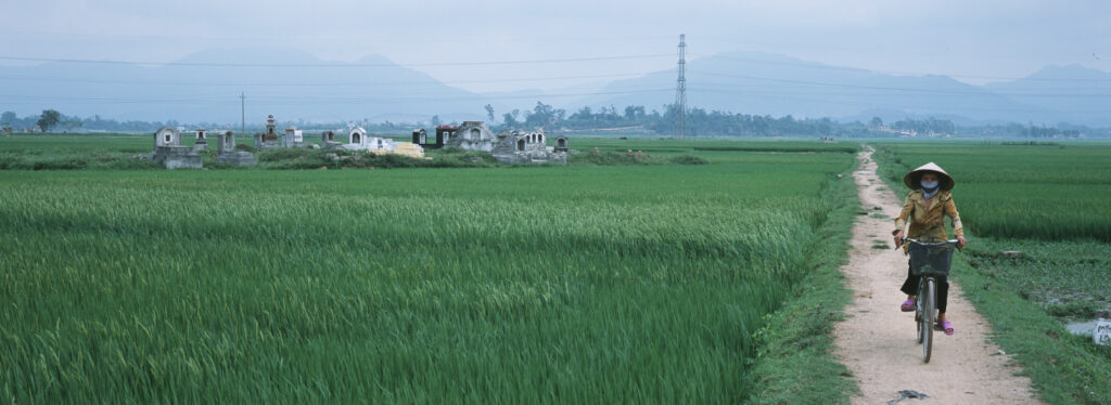 Vietnam rice paddy and cyclist