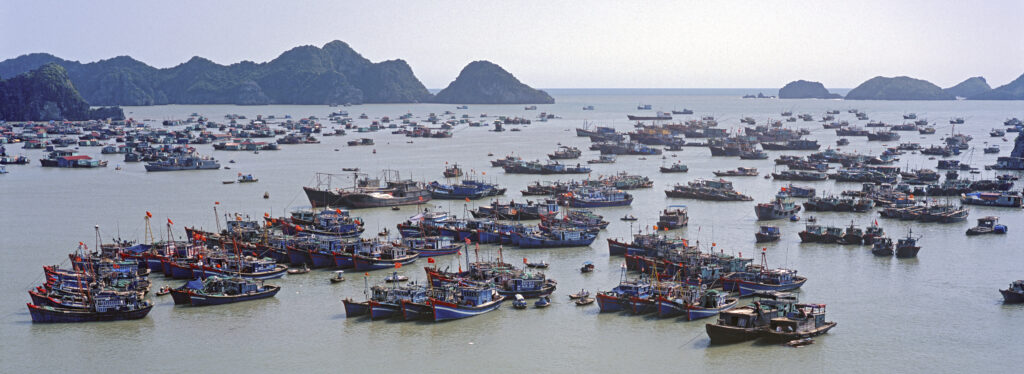 Fishing Boats Ha Long Bay