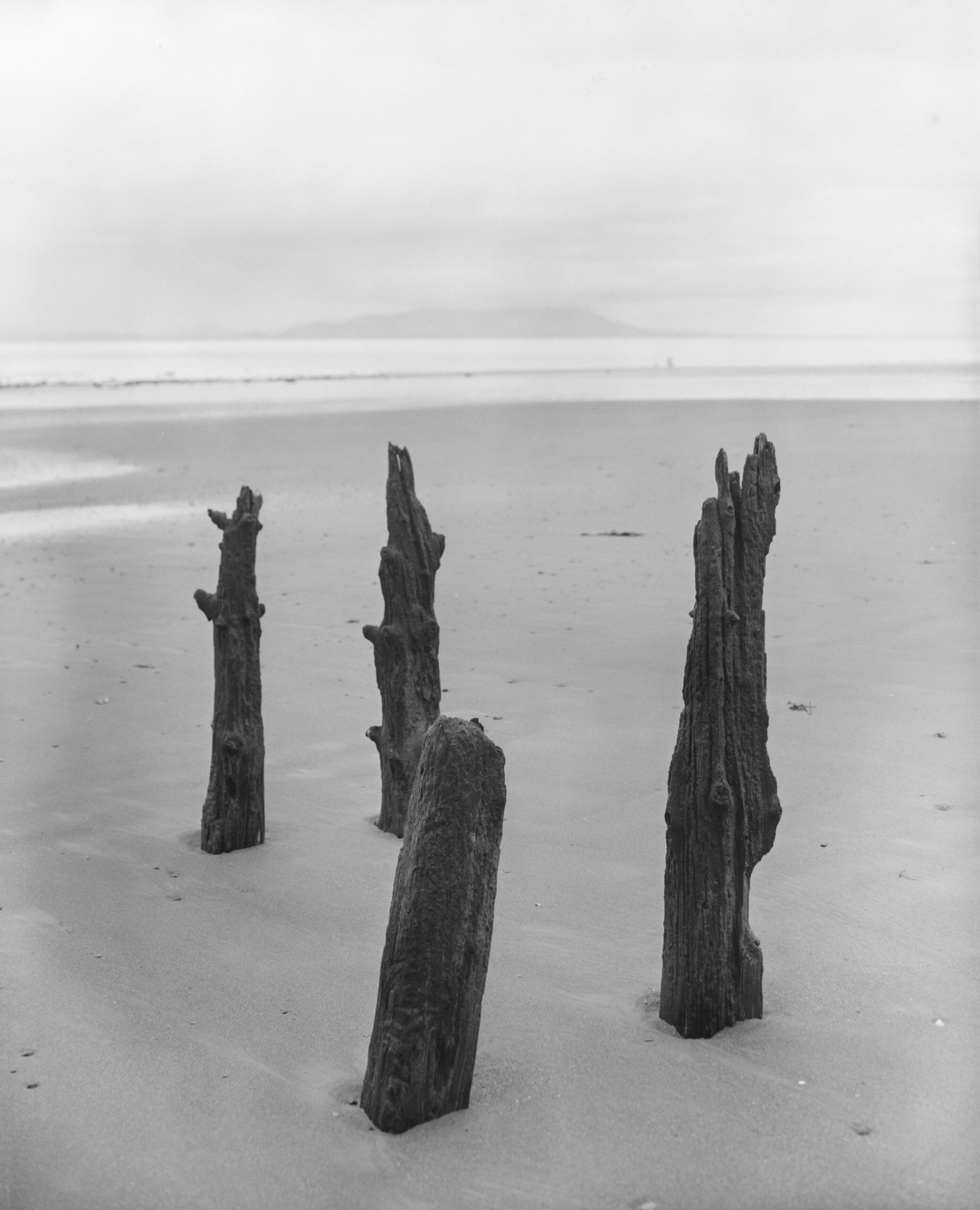Old wooden structure on the shore of the Solway Firth, Cumbria, England