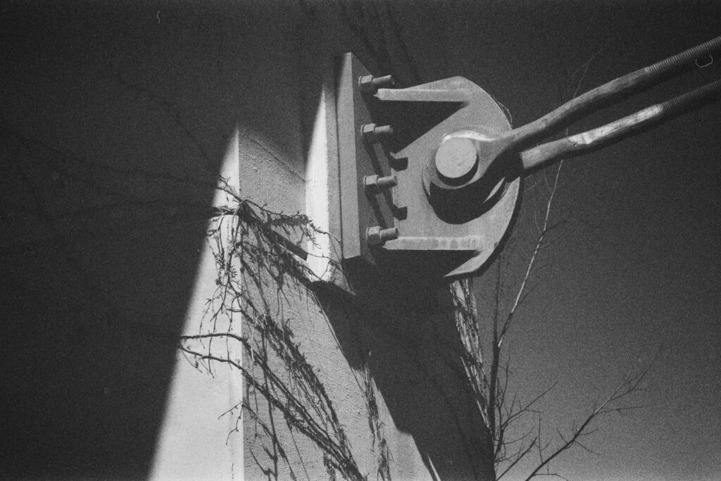 Bridge hardware with shadow and vines wrapping the corner