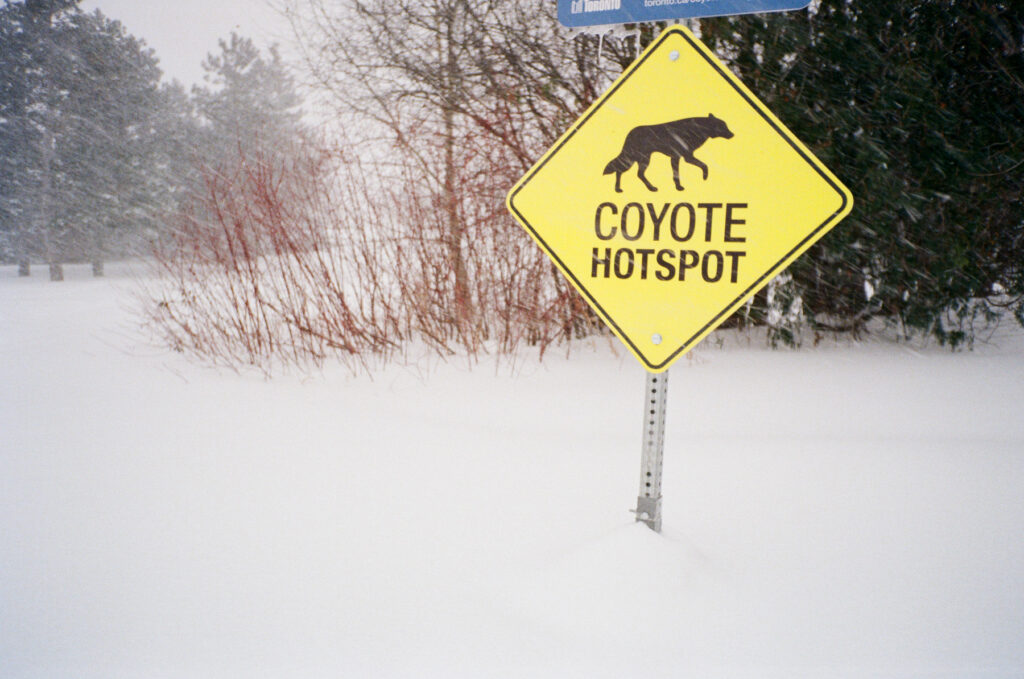 Coyote Hotspot sign