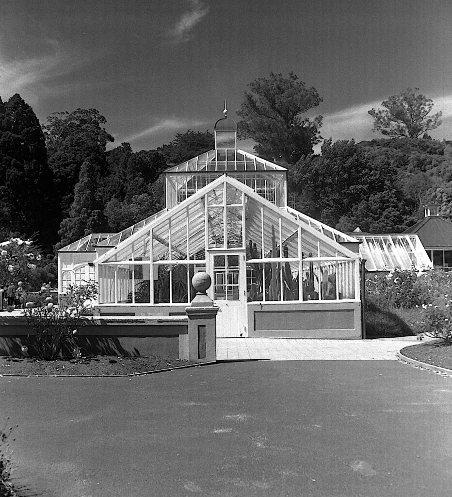 The Winter Gardens building again, taken on the Kalloflex fro the same position.