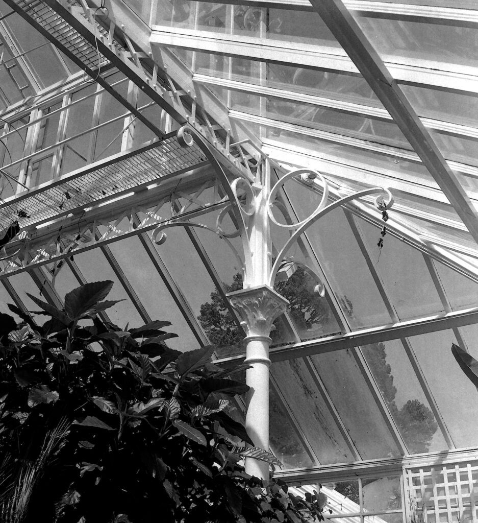 Interior of the central Tropical house in the Winter Gardens.