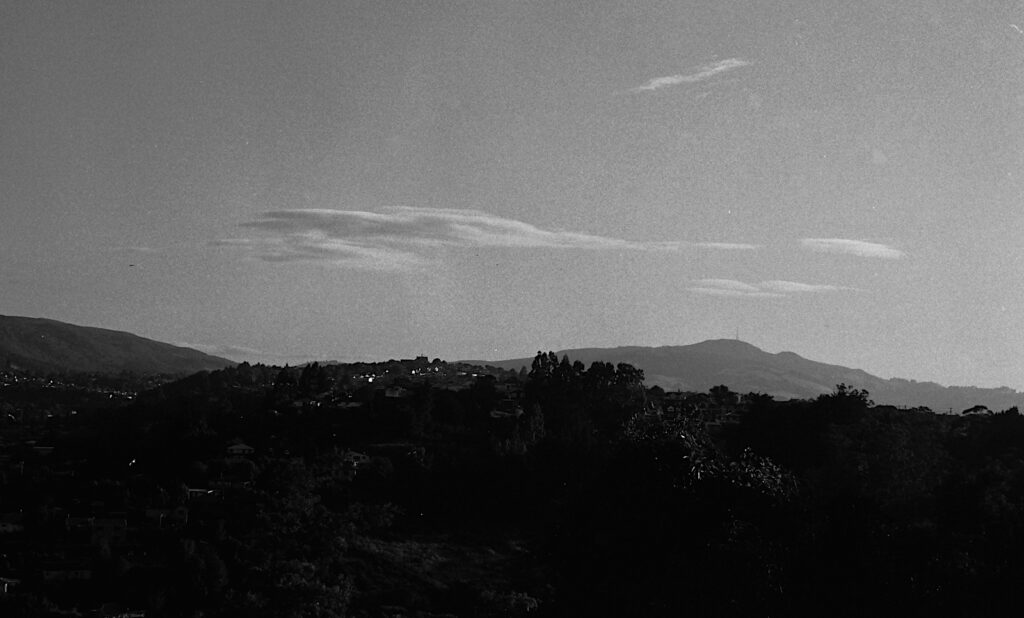 Early morning light, cropped - Retina/80S. Very harsh sharpening has brought out the grain a little but still very fine.