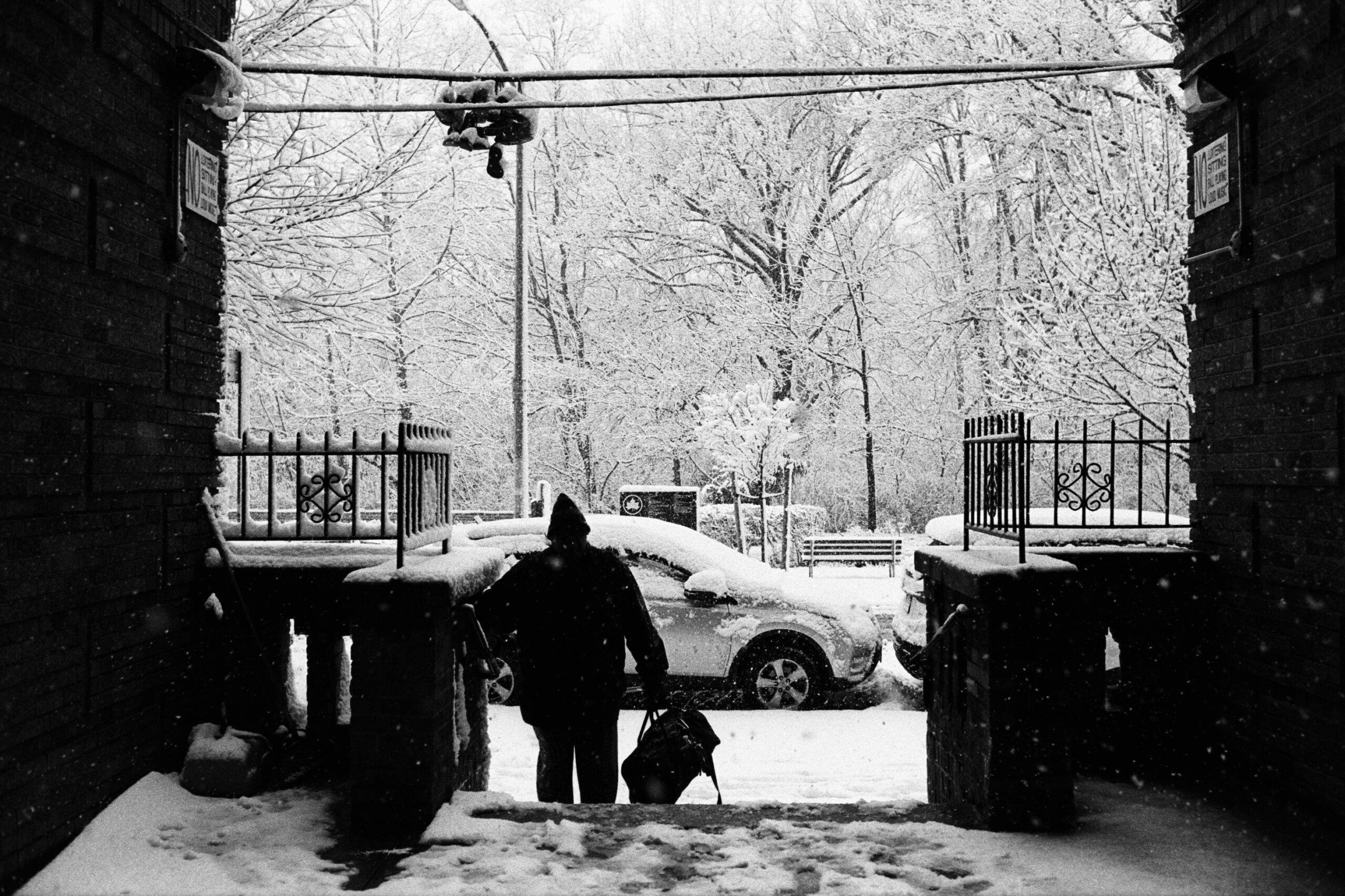 An image of a snowy day in New York City. The subject is a silhouette of a man walking up stairs. In the background, snow covered trees and cars are visible. In the foreground, falling snow and walls frame the subject.