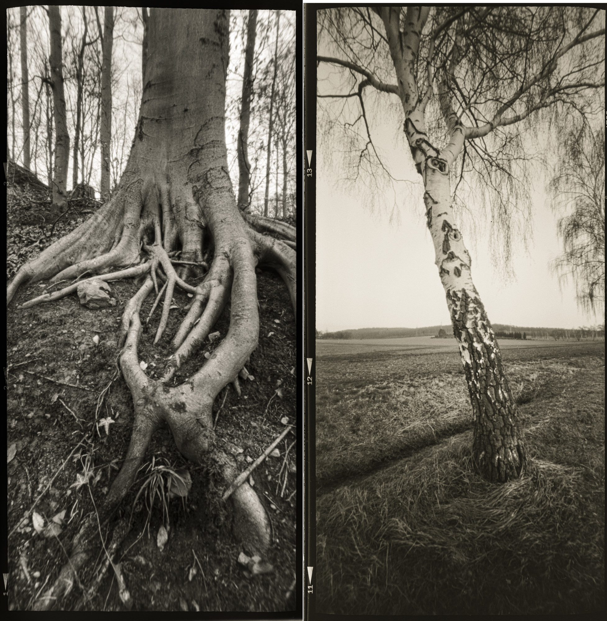 Vertical shots don't immediately come to mind when shooting a panorama camera - but they are certainly an interesting alternative.