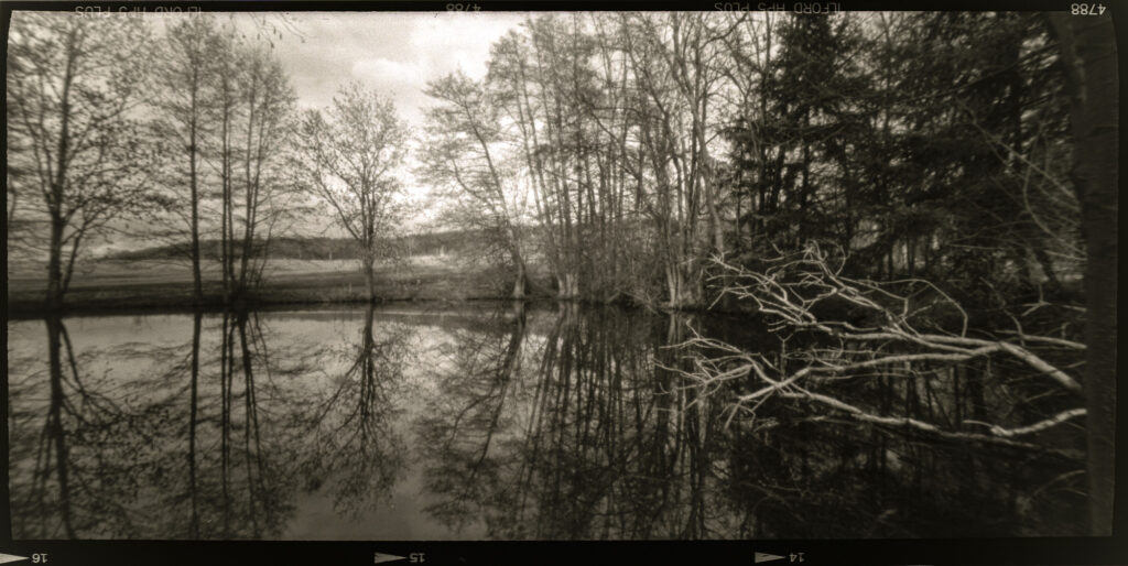 Reflections in a pond near Mahlerten