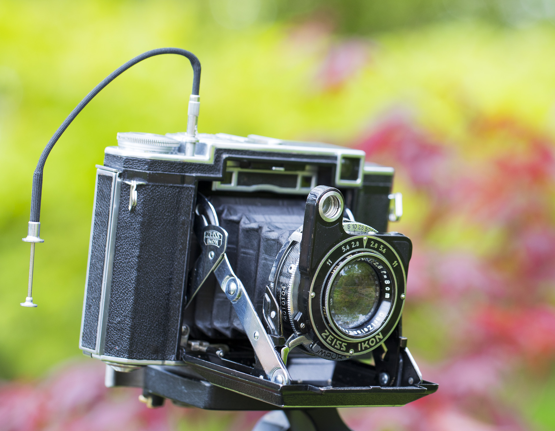 Zeiss Super Ikonta Camera