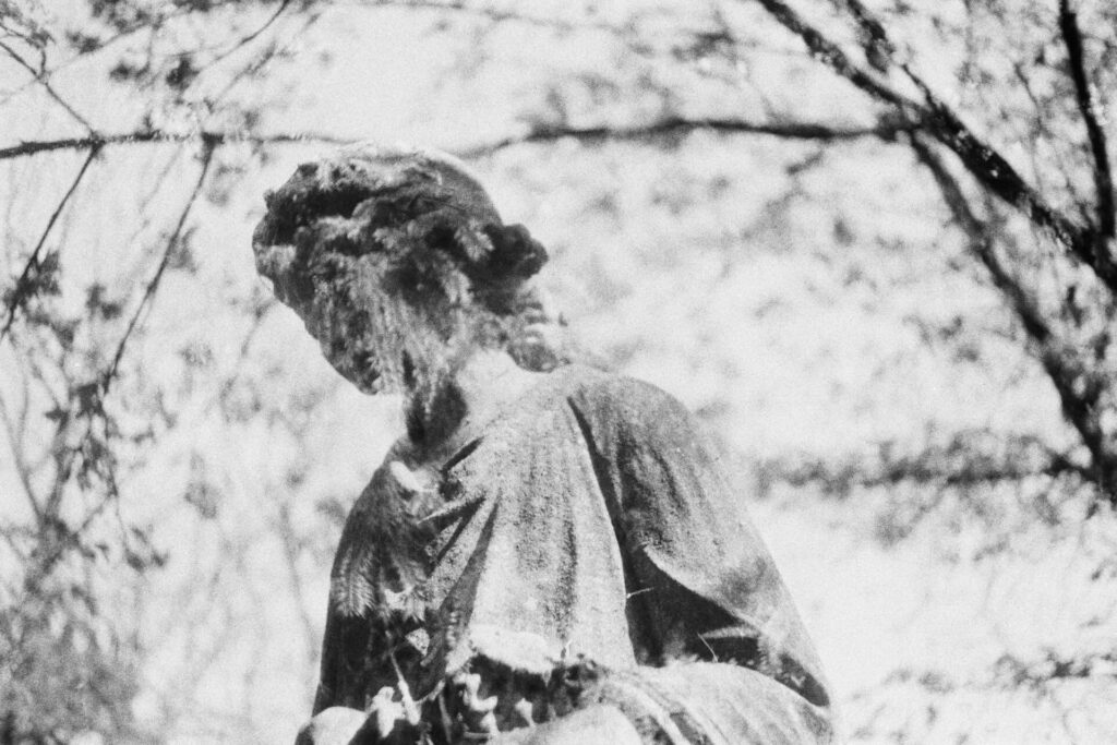 Black-and-white double exposure of a statue with tree branches overlaying the figure, creating a textured, grainy effect.
