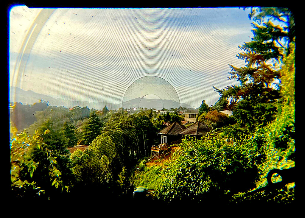 The finder with contrast exaggerated to bring out the Fresnel rings and focus aid. The fresnel, dust and the mark top left are less noticeable in practice.