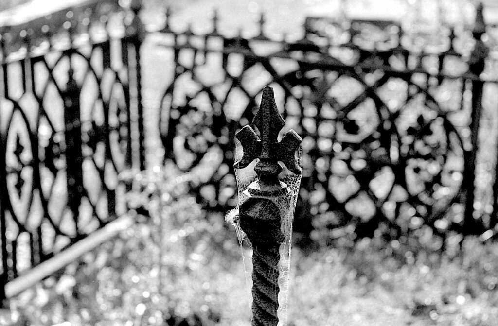 Northern Cemetery again.