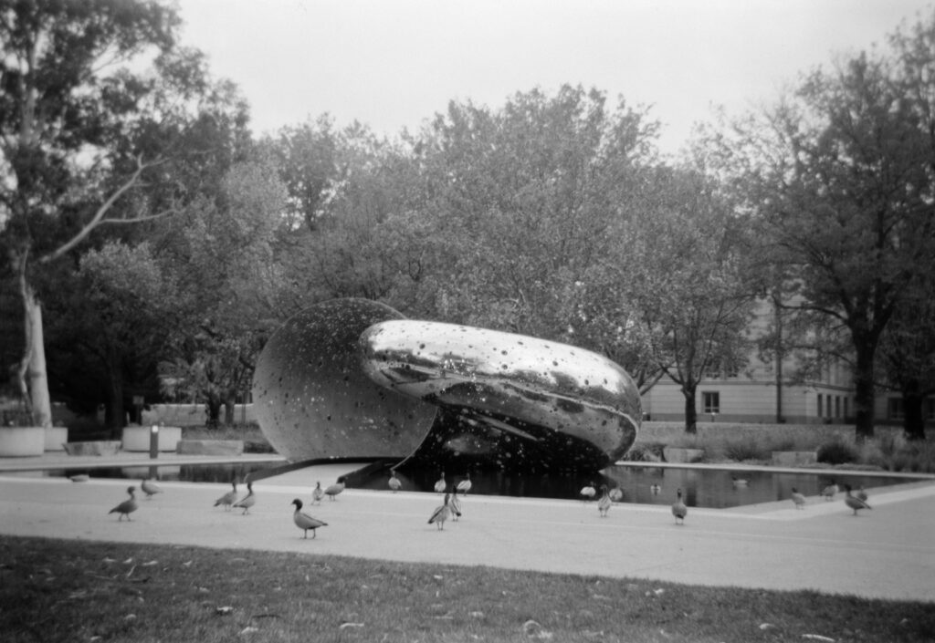 Black and white photo of the sculpture "Ouroboros" by Lindy Lee sitting in a pond. There are ducks in the foreground on path. Trees and buildings in the background.