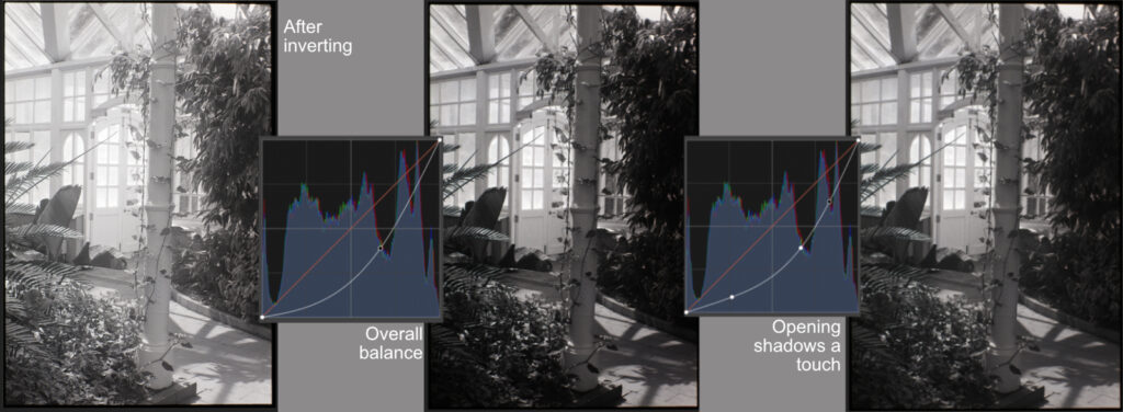 Panel of curves adjustments to balance lightness to the visualised level.