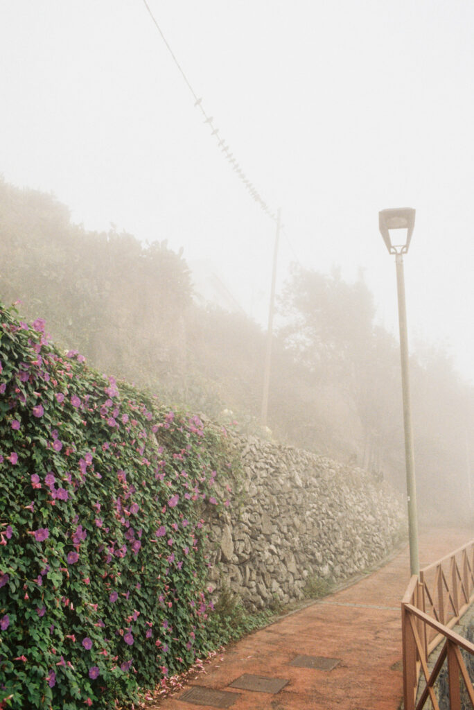 Walking path in the fog.