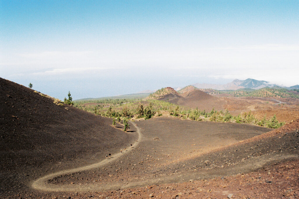 Mt. Teide hike