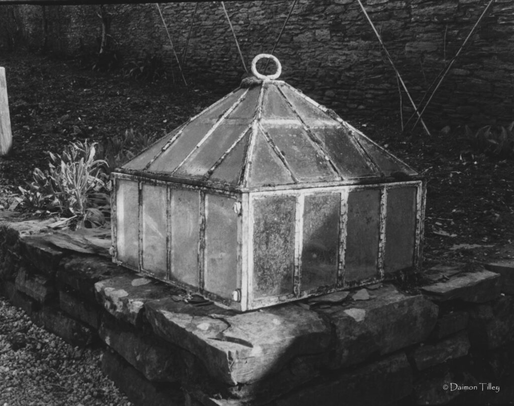 Vintage garden cloche
