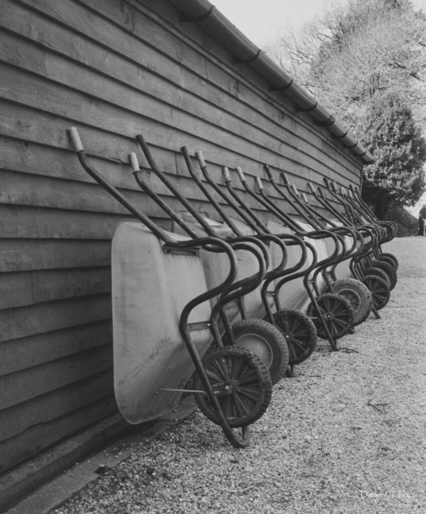 All lined up!