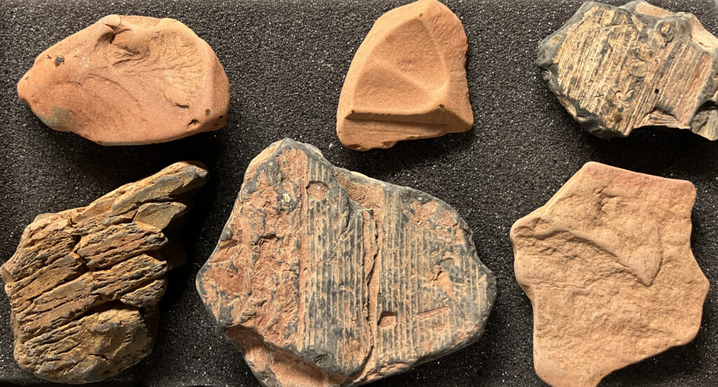 Pieces of fossil-cliff "trees"