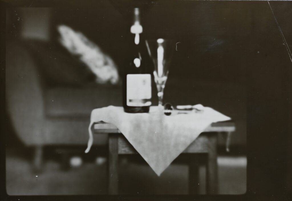 Still life image (out of focus) created using black and white reversal.