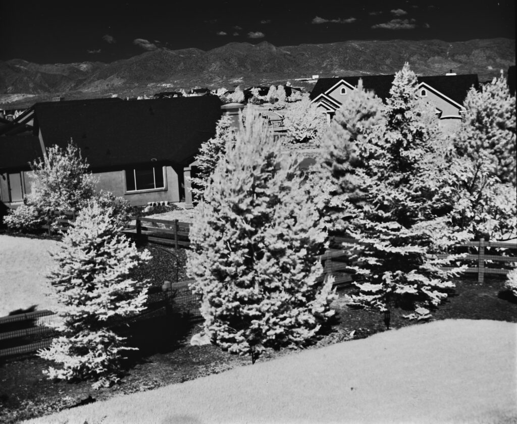 Another test shot of my backyard showing Wood effect with a 720nm filter