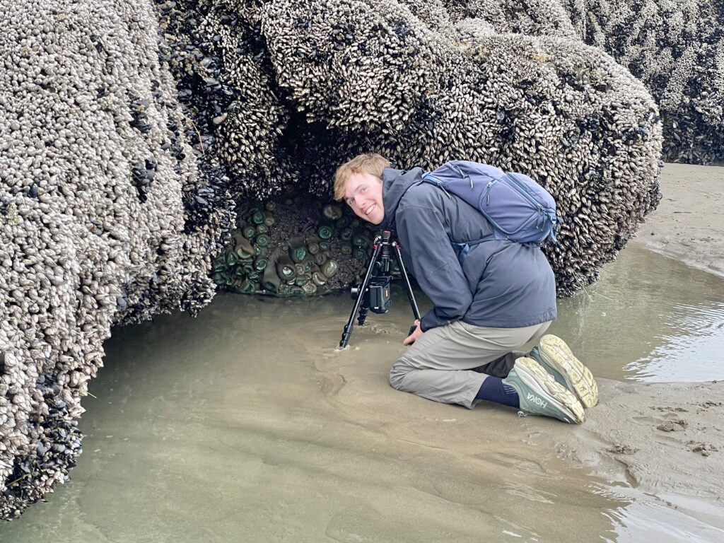 photographer on the ground taking pictures of anemones.