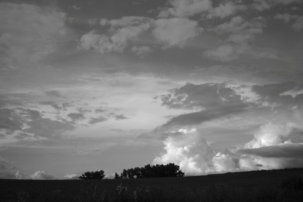 Digital BW filters