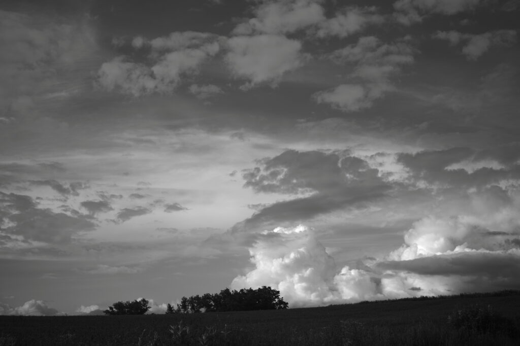 Digital BW filters