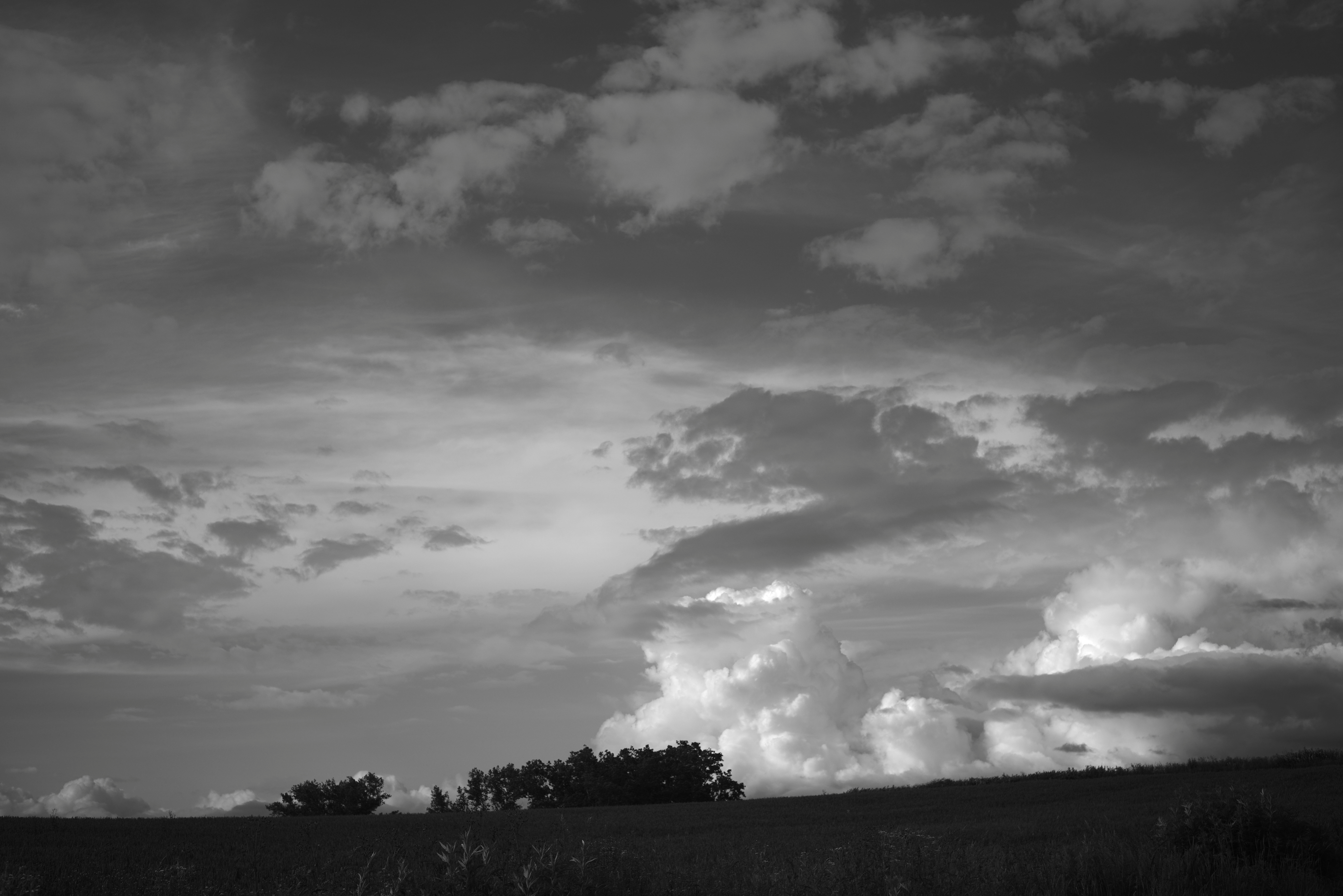 Digital BW filters