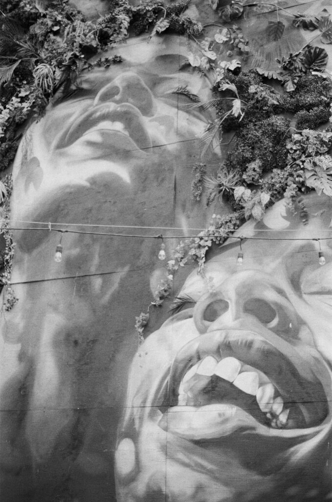 Huge mural with strategically placed ivy