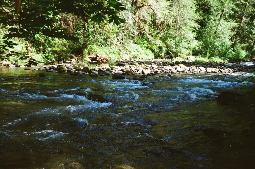 River rapids