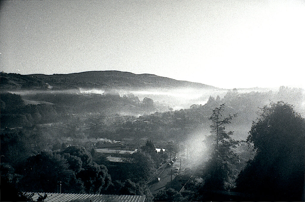 Some flare with the wide angle but no lens hood was used.