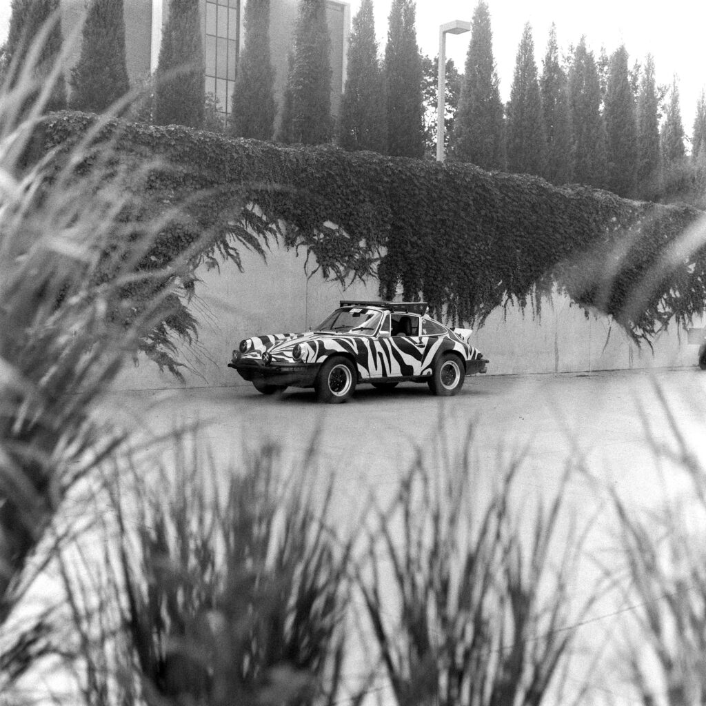 Black and white wide shot of a zebra-patterned 1974 Safari Porsche 911 parked in front of an ivy-covered wall, framed creatively by out-of-focus foreground grasses.