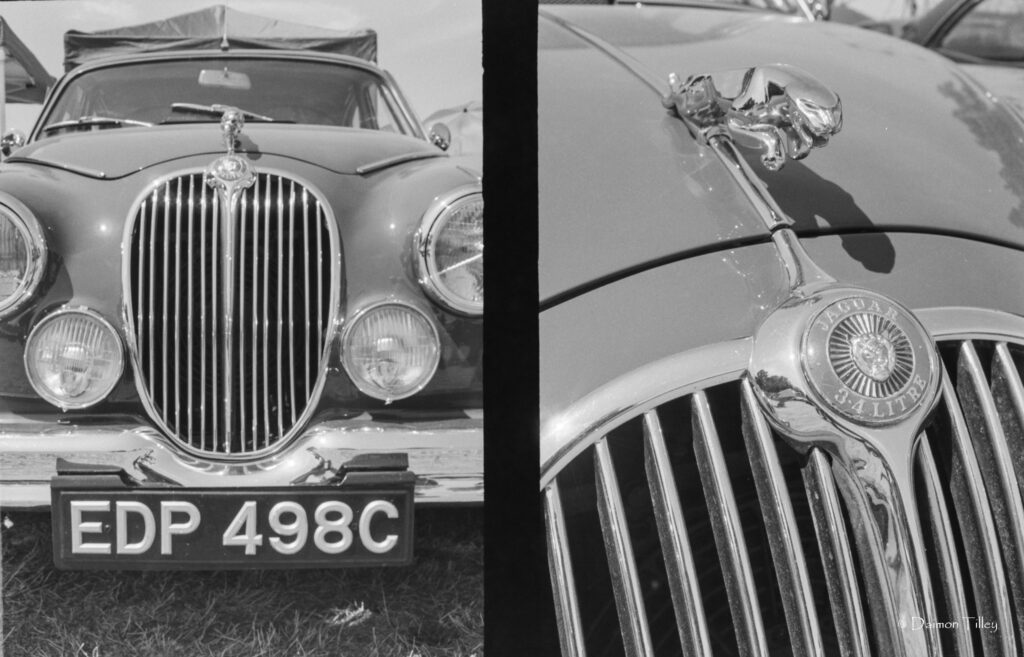 Jaguar