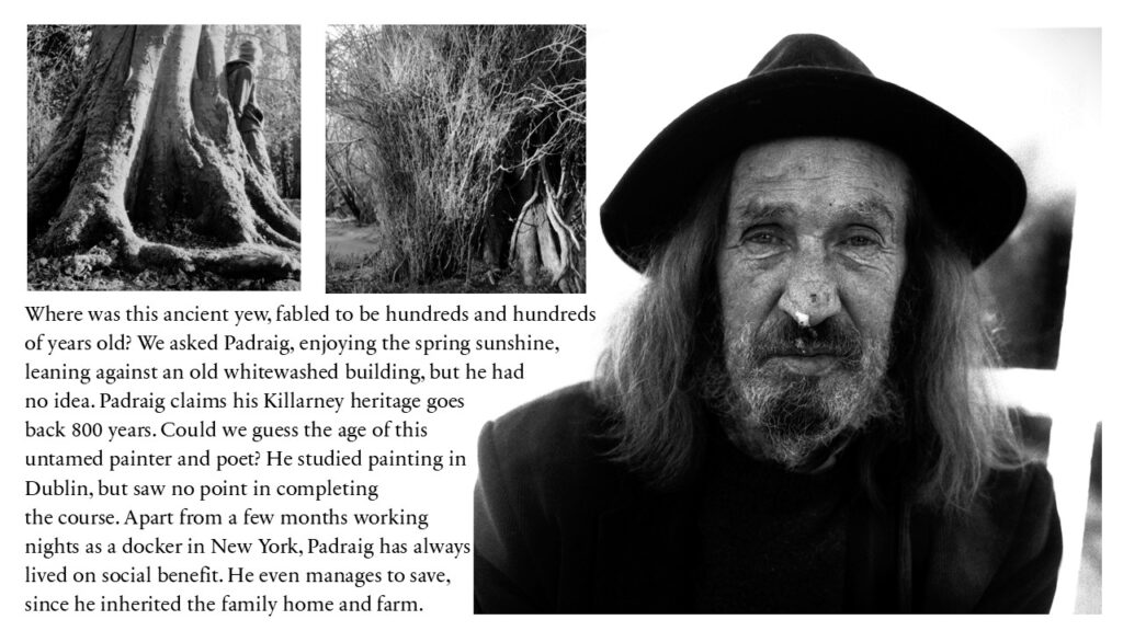 Padraig, Don't Talk To Strangers, 2024-2026