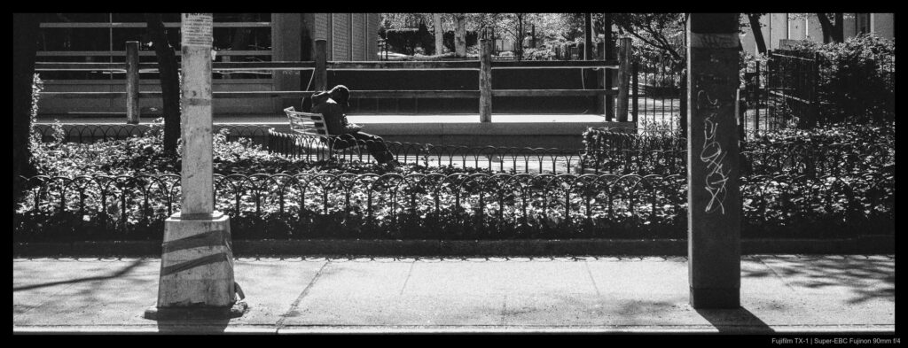 A person sits reading on a bench, framed within the curves of garden fences, a streetlamp, and a parking meter. Sunlight brightly reflects off of bright concrete sidewalks.