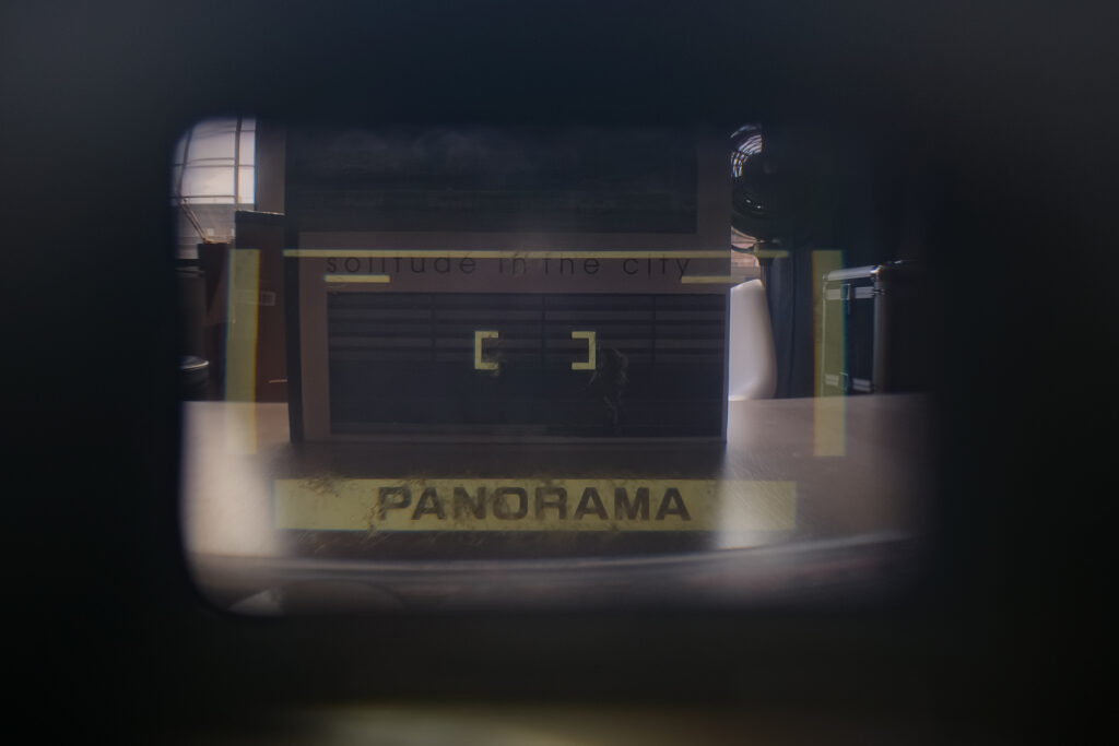 The view through the R1's viewfinder with the standard panoramic crop guides active