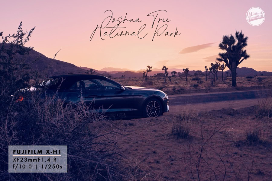 Logo, script title, and EXIF box — Joshua Tree