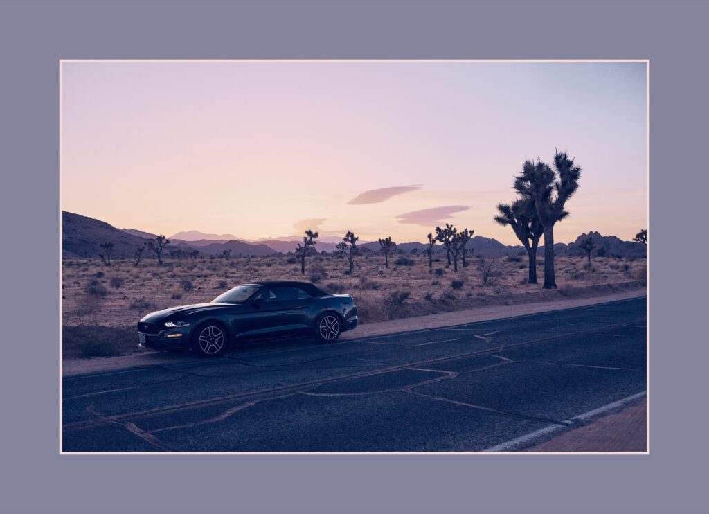 Average — Mustang