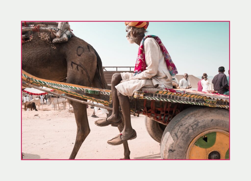 Vibrant — Rajasthan
