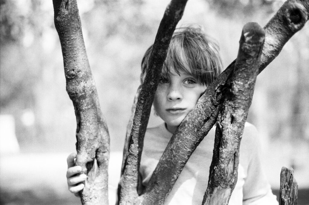 Boy looking through tree