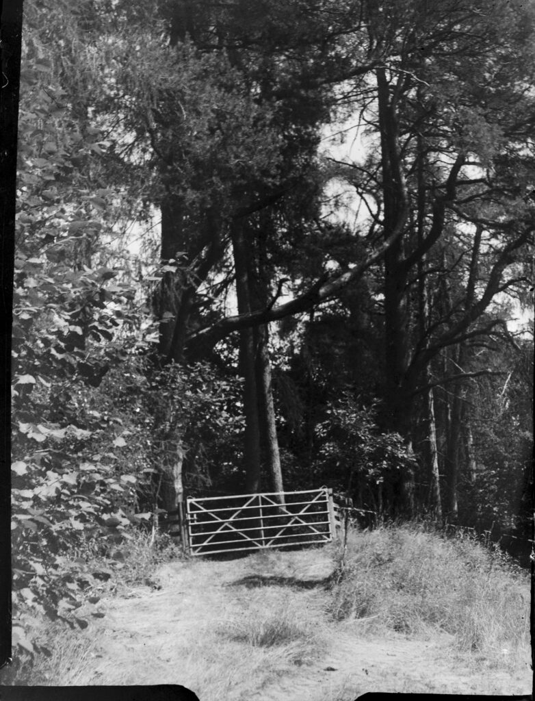 Zeiss Ikon Bebe photo