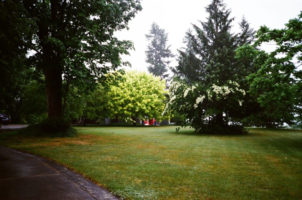 more rain
